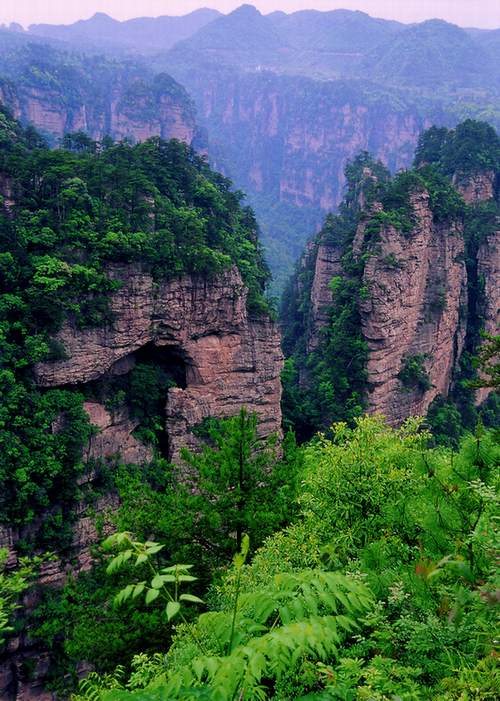 放大的盆景风光