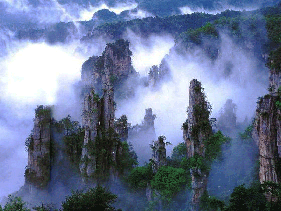 天子山自然保护区