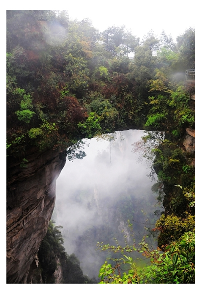袁家界自然保护区