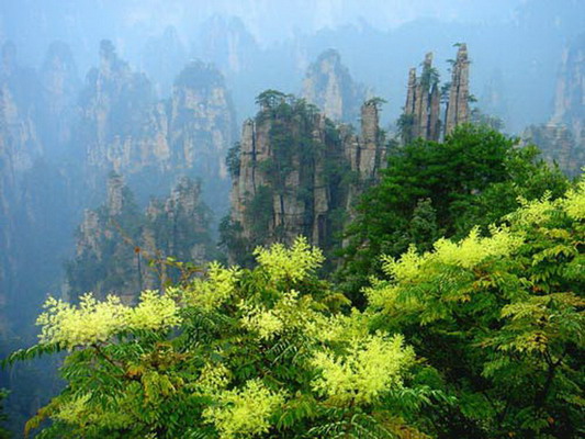 武陵源景区风光美图