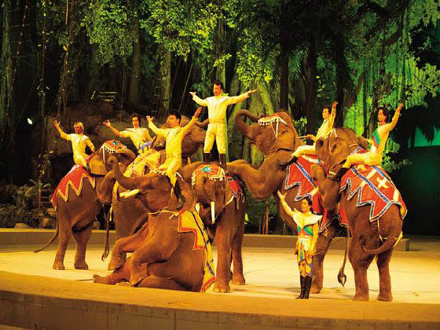 广州长隆国际大马戏